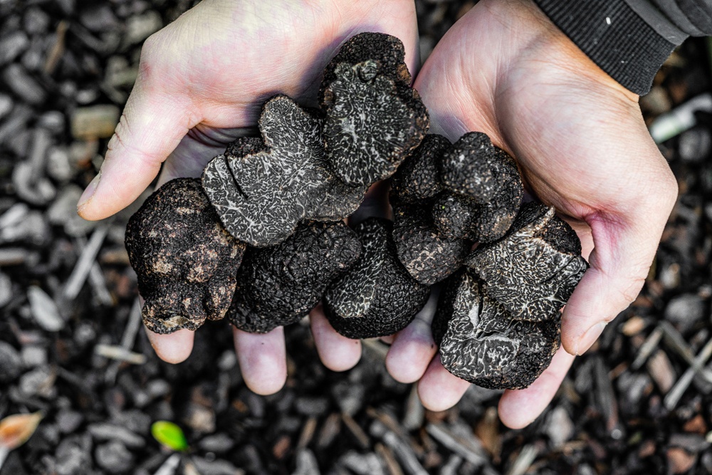 MACINATO TARTUFO NERO PREGIATO 40g - immagine 2